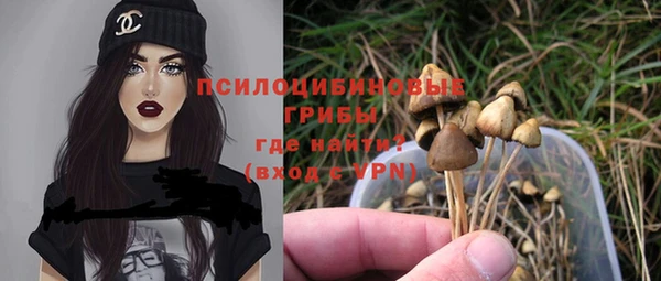 первитин Инсар