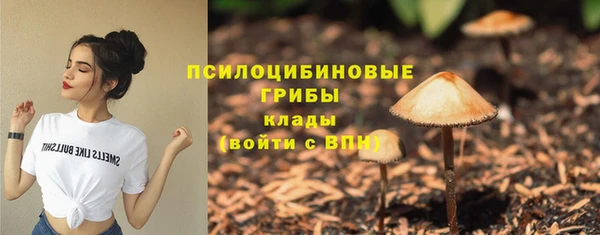 бутират Иннополис