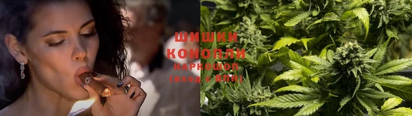 прущая мука Каменногорск