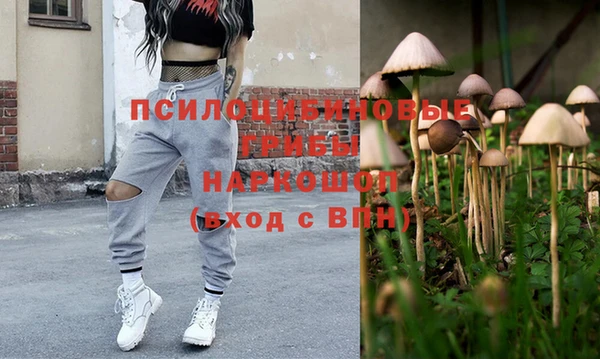 первитин Инсар