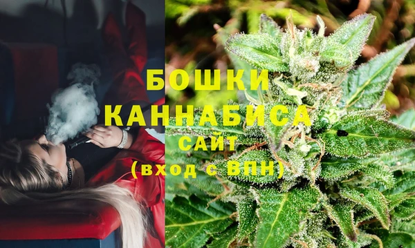 первитин Инсар