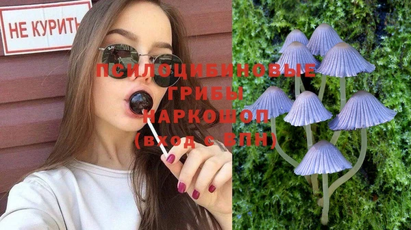 прущая мука Каменногорск