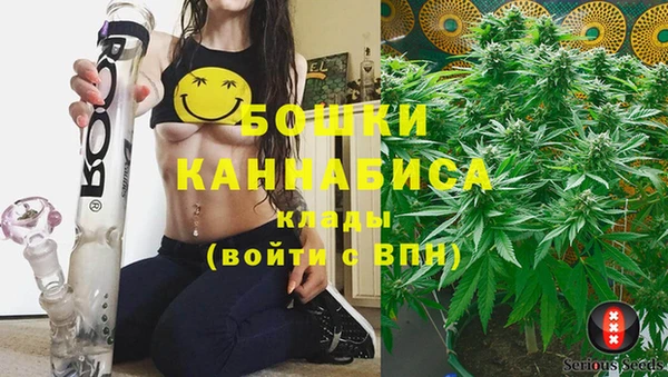 первитин Инсар