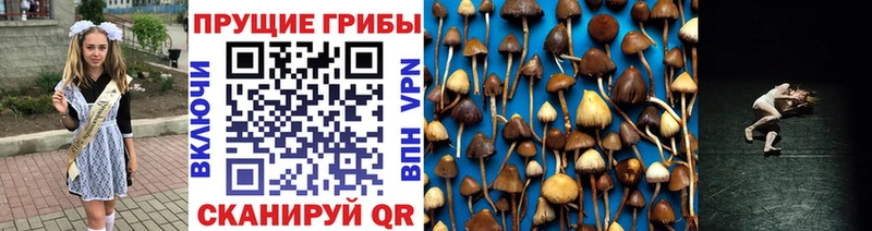 Галлюциногенные грибы MAGIC MUSHROOMS  Купить где  Таганрог 