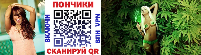 Бошки Шишки сатива  Купить  Таганрог 